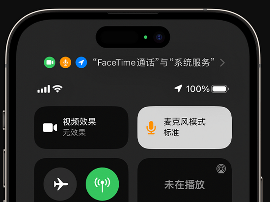 普陀苹果授权维修网点分享iPhone在通话时让你的声音更清晰 