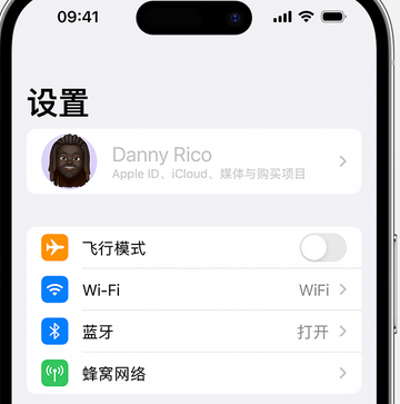 普陀appleID维修服务iPhone设置中Apple ID显示为灰色无法使用 