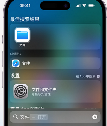 普陀apple维修中心分享iPhone文件应用中存储和找到下载文件 