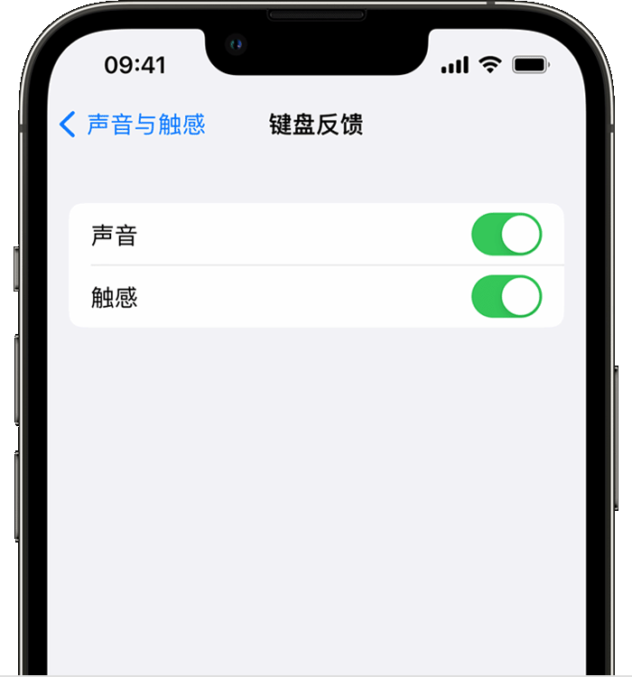 普陀苹果14维修店分享如何在 iPhone 14 机型中使用触感键盘 