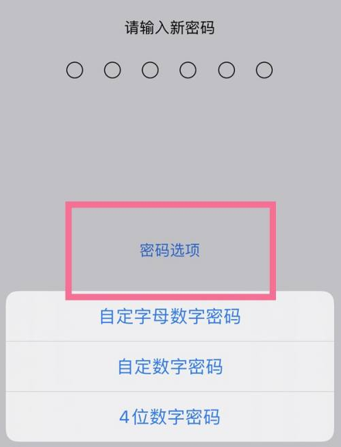 普陀苹果14维修分享iPhone 14plus设置密码的方法 