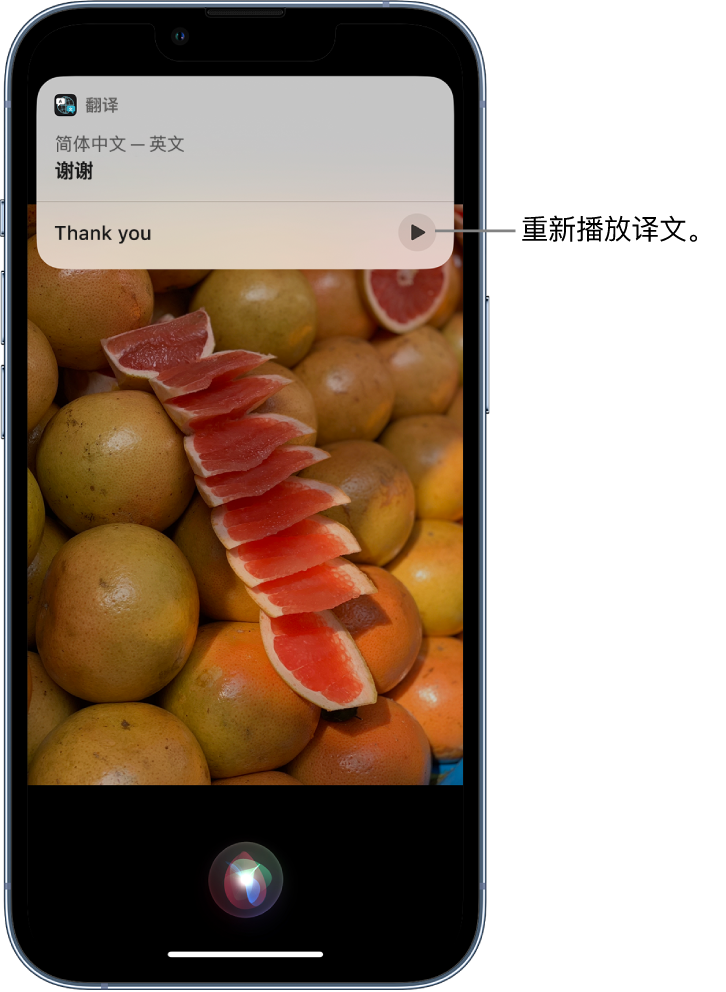 普陀苹果14维修分享 iPhone 14 机型中使用 Siri：了解 Siri 能帮你做什么 