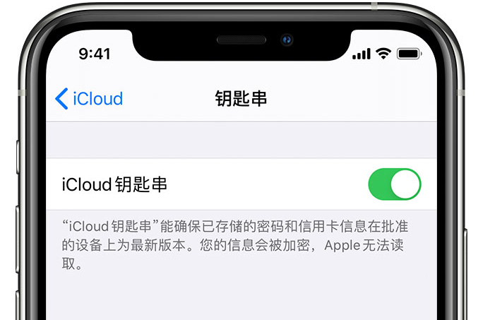 普陀苹果手机维修分享在 iPhone 上开启 iCloud 钥匙串之后会储存哪些信息 